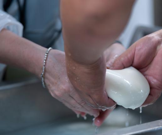 Paestum_Mozzarella_Experience