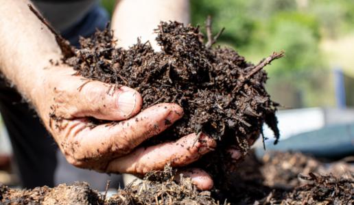 Cooperativa_Agricola_Nuovo_Cilento_Agricoltore