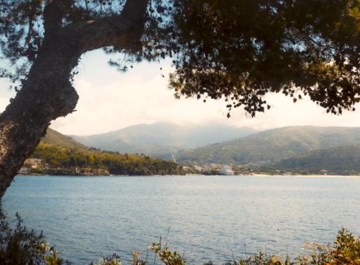 Cooperativa_Agricola_Nuovo_Cilento_Passeggiata_Botanica