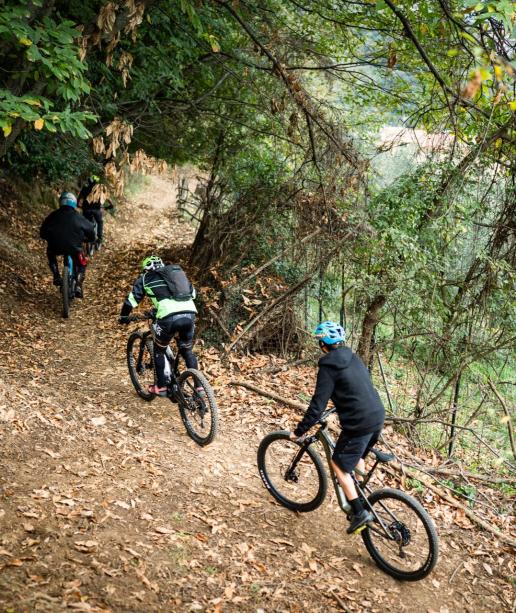 Salerno_Bike_Montagna