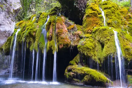 Oasi_Capelli_di_Venere_Casaletto_Spartano_Salerno_Cilento_Campania_Italia