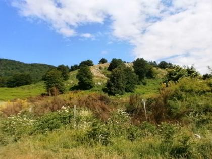 Riserva_Monti_Eremita_marzano_Piana_del_Sele_Salerno_Campania_Italia