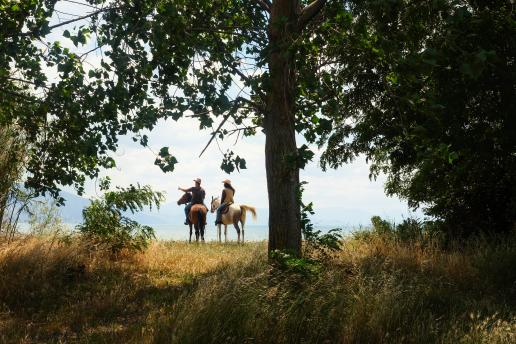 Passeggiata_a_cavallo_Piana_Del_Sele
