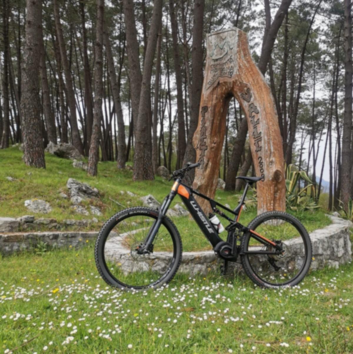 E-bike_MTB_Sanza_Tra_Sport&Natura