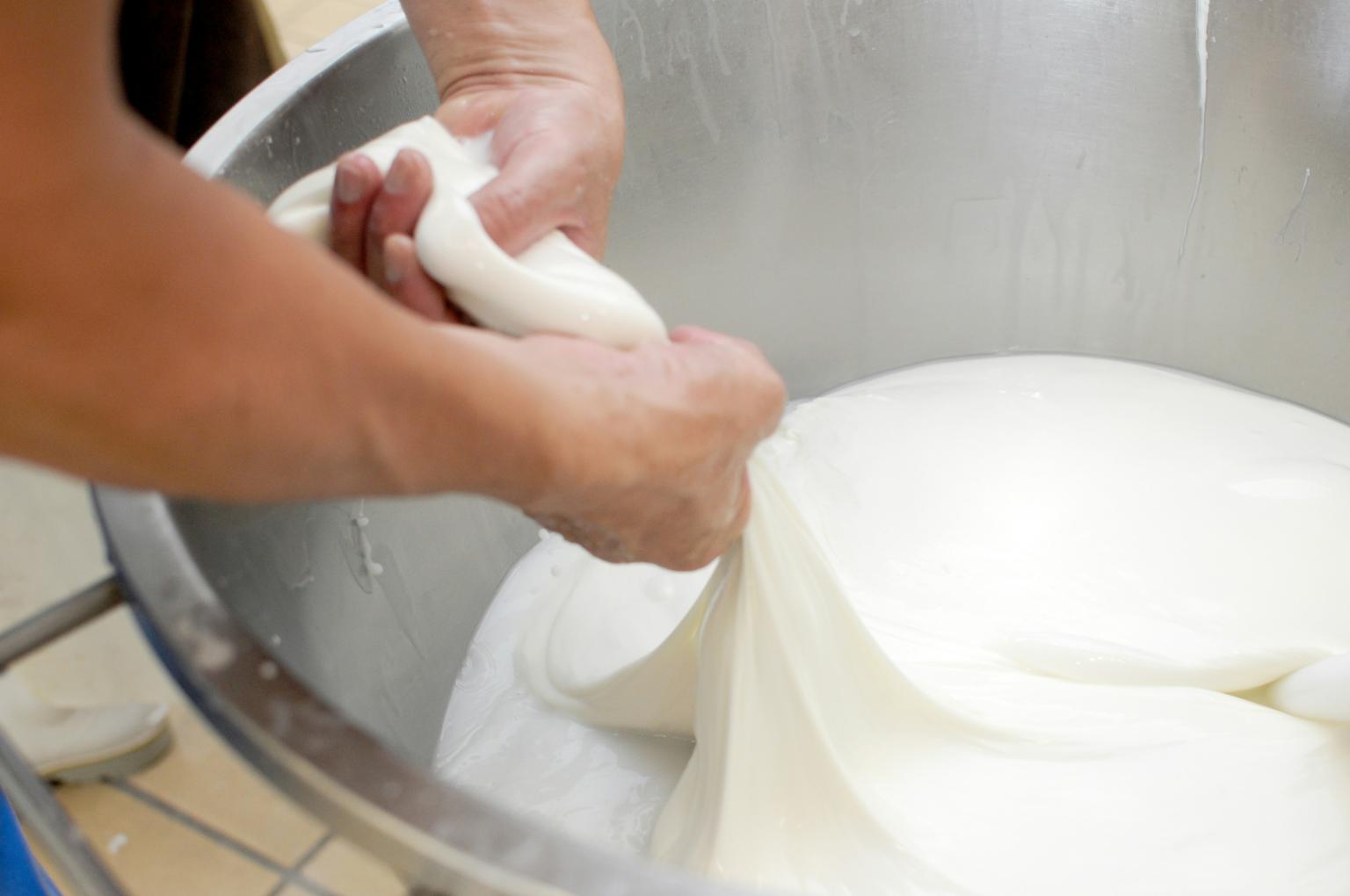 Mozzarella_Di_Bufala_Paestum_Campania_Italia