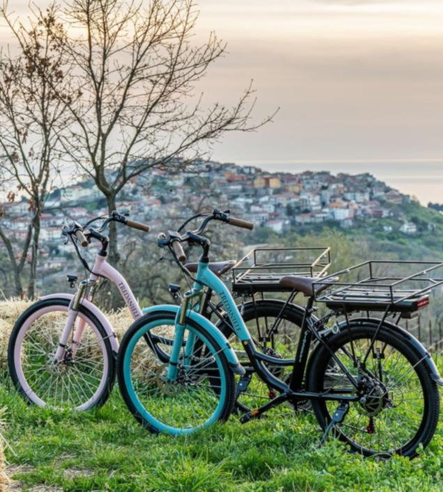 Tre_Daniele_e-bike