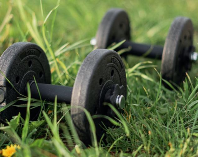 Physiolism_Training