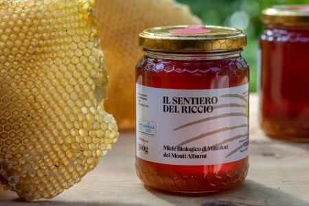 The_Sentiero_Del_Riccio (1)