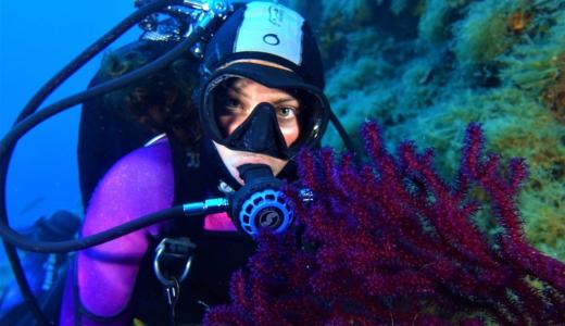 I corsi di sub di ASD Cilento Scuba Dream.
