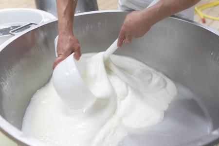 Prime_Querce_Mozzarella (2)