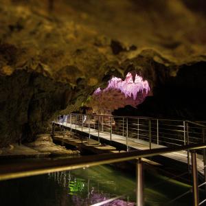 Grotte_di_Pertosa_Auletta (3)