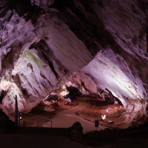 Grotte_di_Pertosa_Auletta (2)