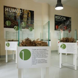 Museo_del_Suolo