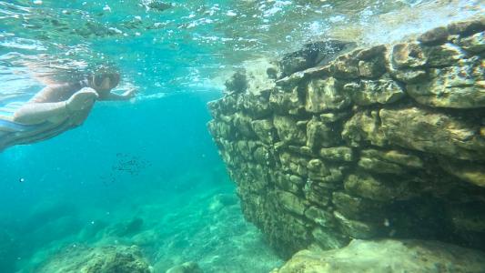 Attività di snorkeling.