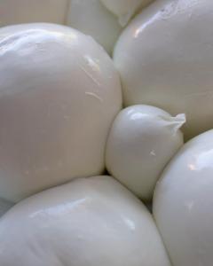 La mozzarella della Tenuta Vannulo.