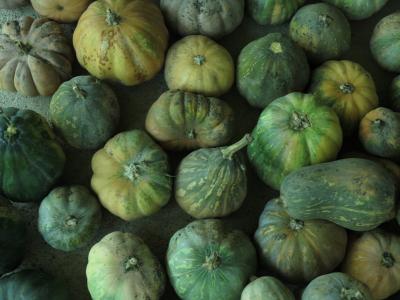 Paestum_Il_Cannito_Dettaglio_Cibo_Genuino