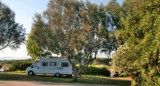 Area camper.