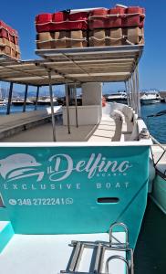 Il Delfino Trasporto Passeggeri.