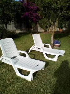 Le sedie del giardino. 
