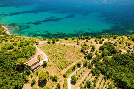 Panoramic view from the top of the Le Terre di Venere farmhouse over the crystalline sea of ​​Cilento.